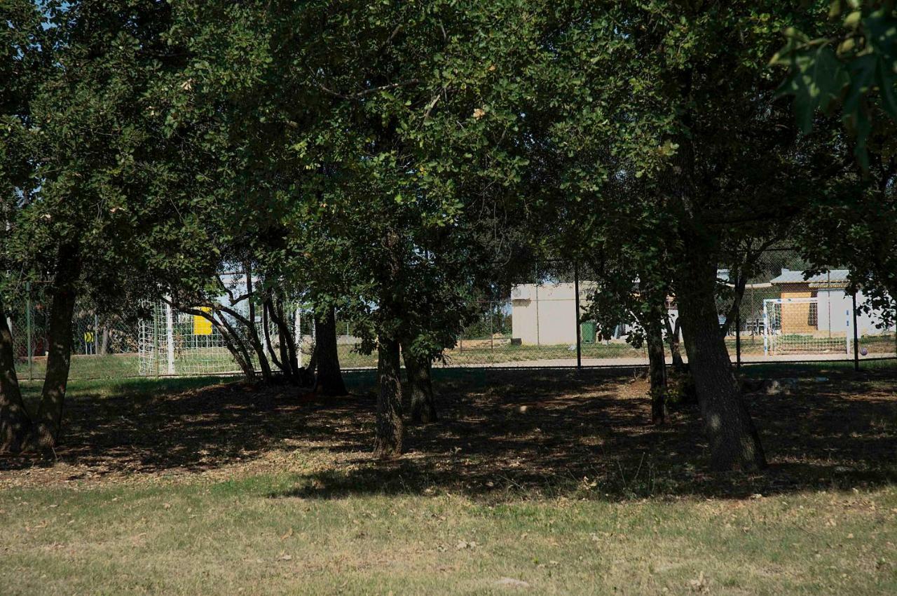 Apartman Matosevic Poreč Eksteriør billede
